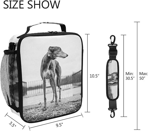 greyhound suitcase size