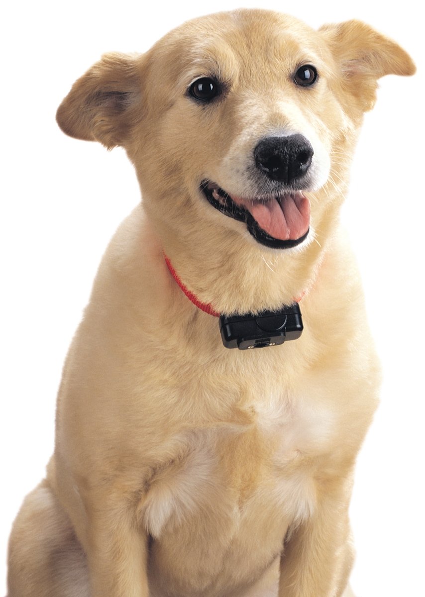 Reviews Petsafe Indoor Radio Fence