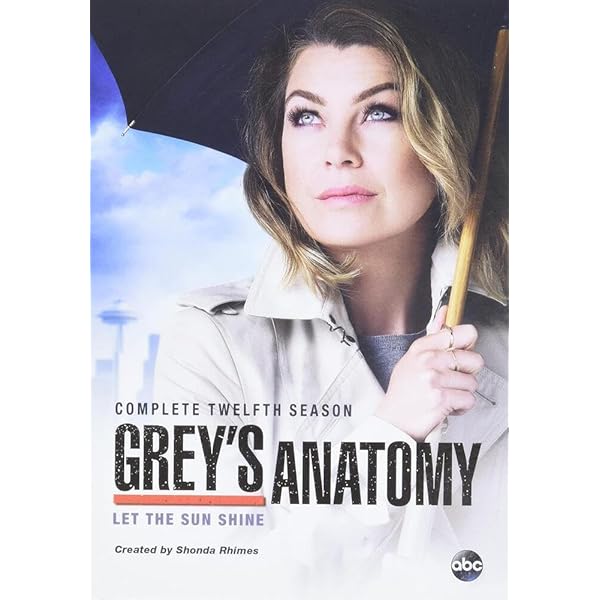 Amazon.com: Grey's Anatomy: Ten Season Pack : Movies & TV