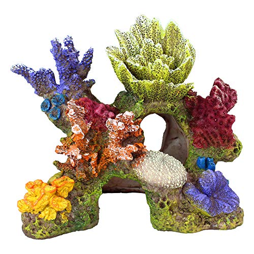 Danmu 1Pc of Polyresin Coral Ornaments, Aquarium Coral Decor for Fish Tank Aquarium Decoration 6 3/5″ x 3 7/10″ x 5 1/2″