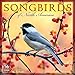 Songbirds of North America 2019 Wall Calendar