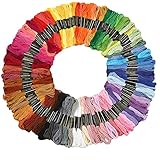 LAOZHOU Cross Stitch Floss 50/100 Skeins Premium Rainbow Color Embroidery Floss Sewing Threads (100 Skeins)