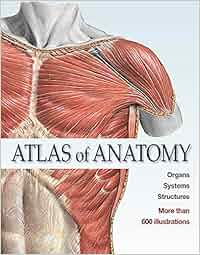 Atlas Of Anatomy The Human Body Described In 13 Systems