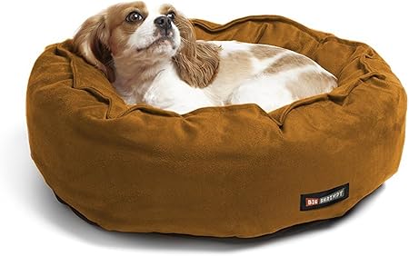 big shrimpy dog beds