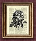 ROSE flower awesome upcycled vintage dictionary page book art print