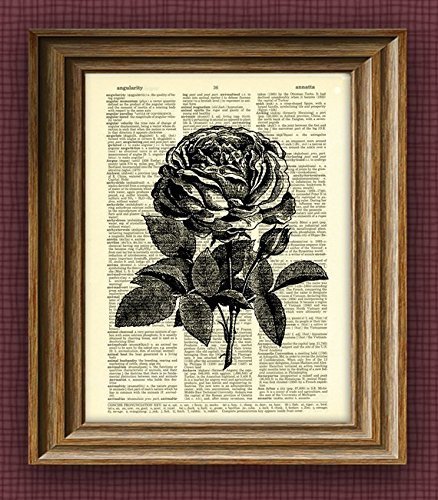 ROSE flower awesome upcycled vintage dictionary page book art print