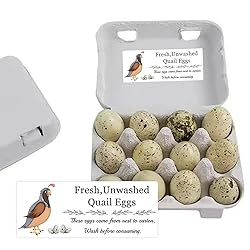 SMARSTICKER Unwashed Chicken Quail Duck Egg Carton