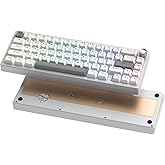 Womier SK65 Wireless Mechanical Gaming Keyboard with Knob, 60 Percent Aluminium Keyboard for PC, Bluetooth 5.0/2.4GHz/USB-C Wired, Hot Swappable Custom Lineaner Switch, RGB Backlit (Silver V2)