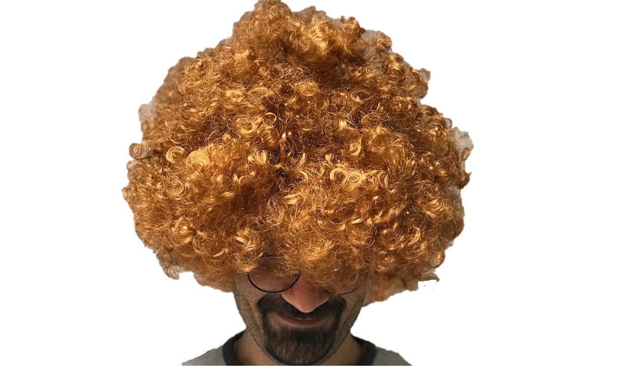 Matissa Unisex Clown Wig Circus Funny Fancy Party Dress Accessory Afro Stag Do Fun Joker (Ginger)