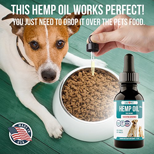 Best Organic CBD Oil for Dogs and Other Pets Hellow dog