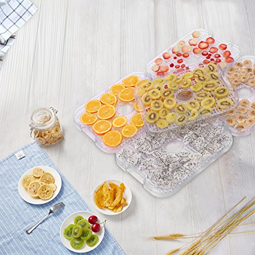 Food Dehydrator Machine Jerky with 5 Trays, Knob Button/250Watt - Thumbnail 6