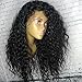 Fushen hair Lace Front Human Hair Wigs for Black Women 150% Density Curly Raw Virgin Hair Full Lace Frontal Wigs with Baby Hair