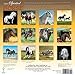 The Spirited Horse 2017 Wall Calendar