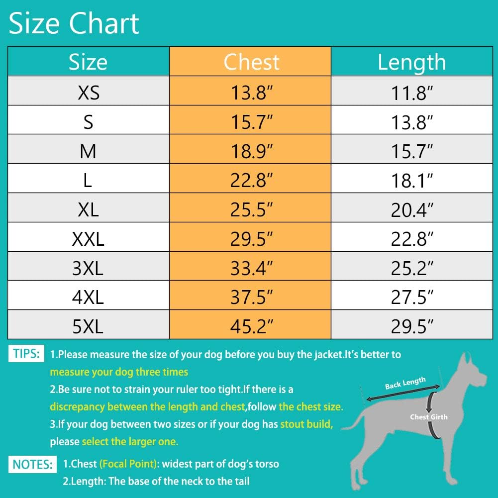 PETCEE Waterproof Dog Jacket Dog Winter Coat Dog Pet Vest for Cold Weather Dog Jacket for Medium Large Dogs with Lofty Collar-2 Layer (Black XL) : Kitchen & Dining