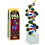 Amazon Com Dna Model Kit Manufacturer Toys Amp Games