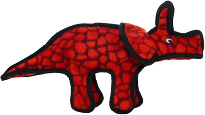 aggressive aquarium fish