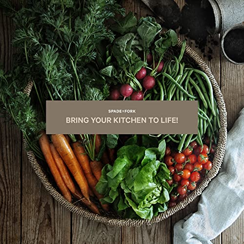 Organic Indoor Vegetable Garden Starter Kit Made in USA Certified