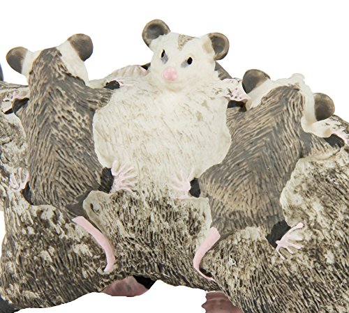 safari ltd opossum