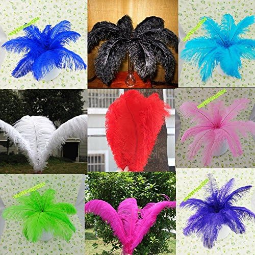 CYNDIE Decoration Free Shipping Wholesale 10 200pcs Pretty Ostrich Feathers 14-16inch/35-40cm (20pcs, Black)