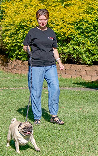 Primal Pet Gear - Rope Leash - 5ft long - Heavy Duty - 0.5" Thick - Metal Covers - Super Durable - Perfect for Medium, Large and Tough Small Dogs, Puppy -Training - Slip Leashes