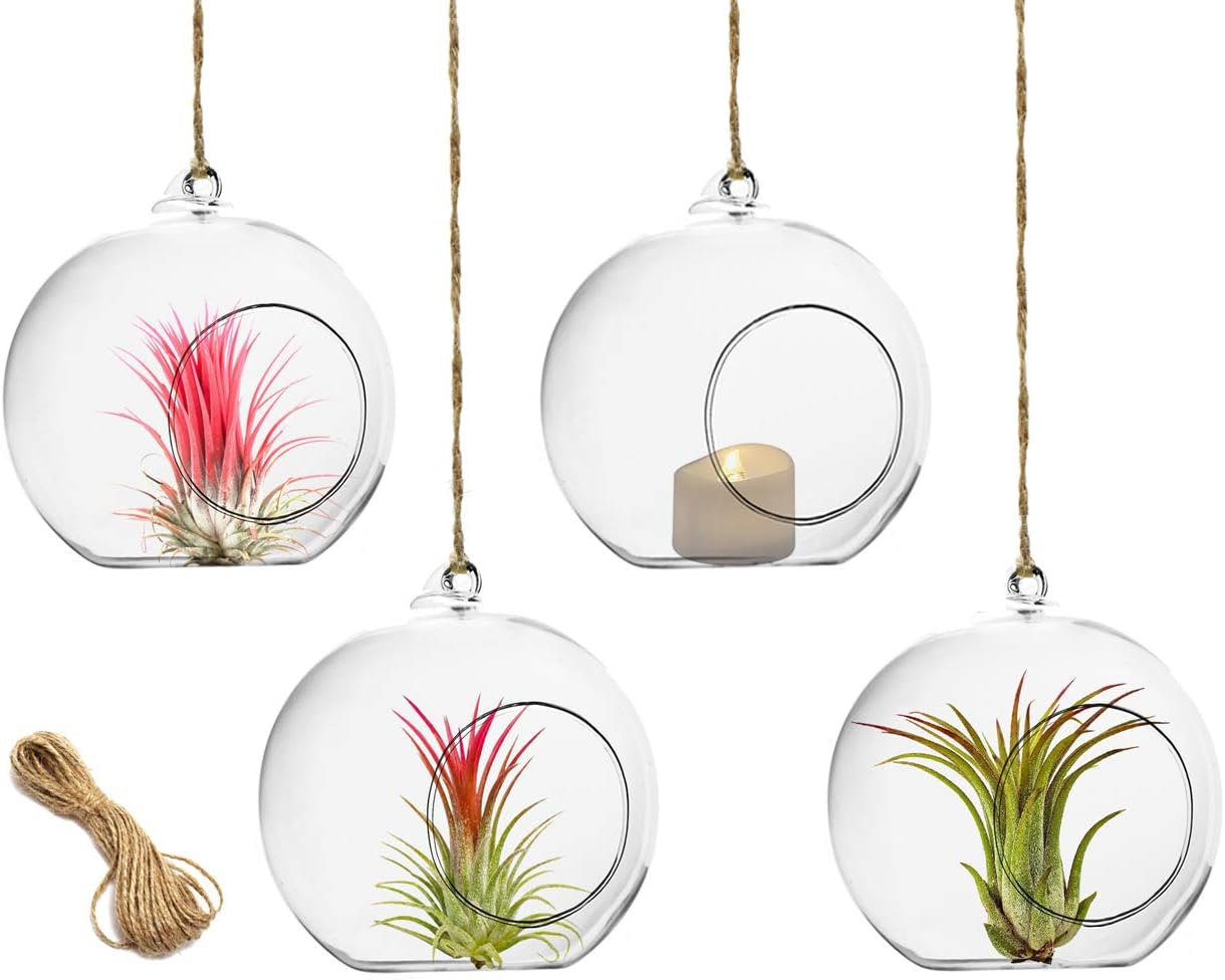 Adabocute 4 Pack 4'' Glass Hanging Air Plant Terrarium Ball/Votive Candle Holder w/Flat Base, Jute String