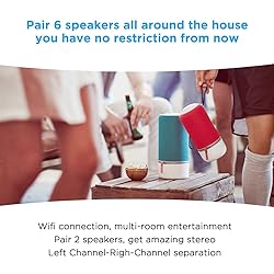Libratone Zipp Mini Wifi Bluetooth Smart