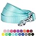 Blueberry Pet Essentials Mint Blue Dog Leash for Large - 4' * 1