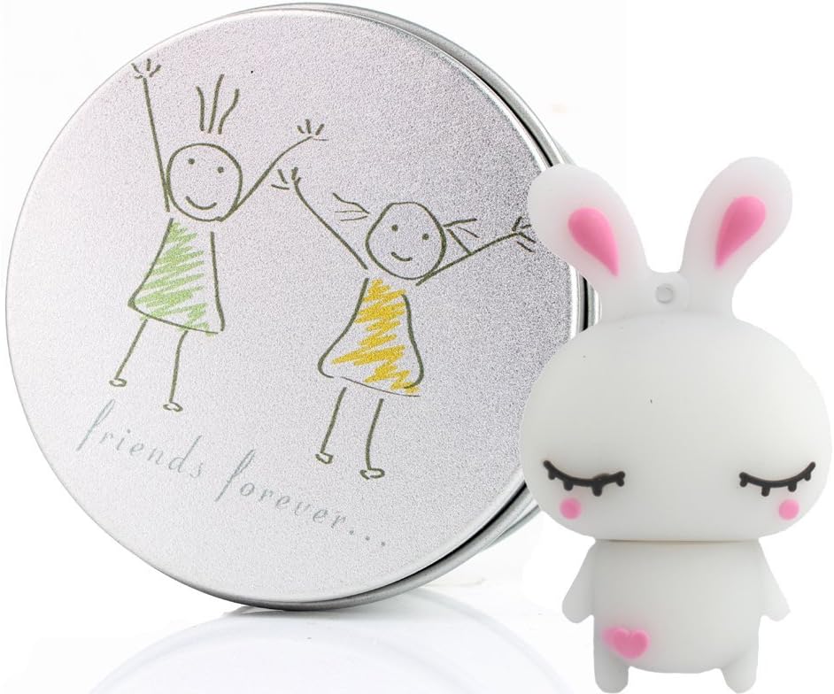 Friends Forever 16G Cute White Rabbit Bunny USB Memory Stick Flash Drive Data Storage Device Pendant with Keychain & Metal Box Packing, Novelty Cute Gift / Present