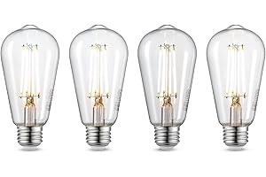 8W (60W Equivalent) Daylight White (5000K) ST19 Dimmable LED Light Bulb 4-Pack, Clear Glass, Standard E26 Base, 800 Lumens, 1