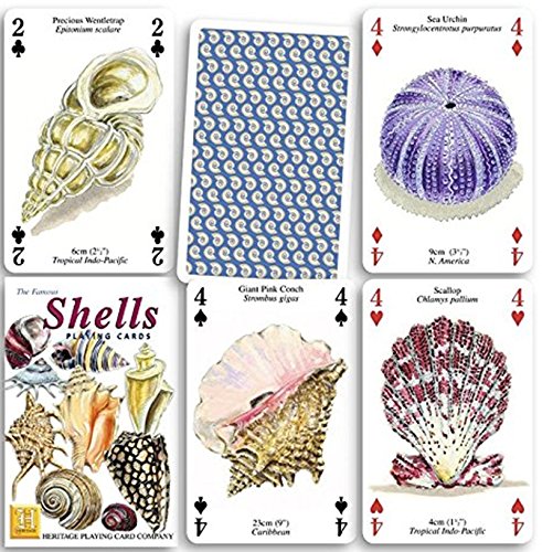 Shells set of 52 playing cards + jokers (hpc)