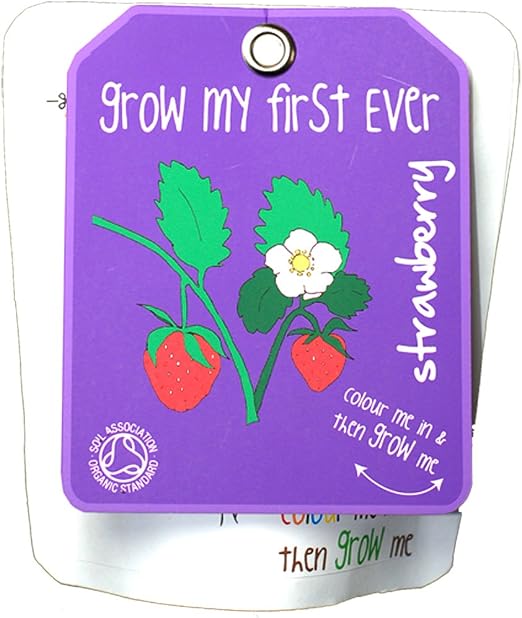 Canova Grow My First - Kit de Cultivo de Plantas y Flores para ...