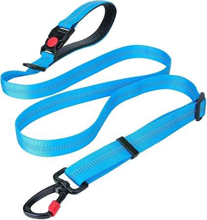 extendable dog lead b&m
