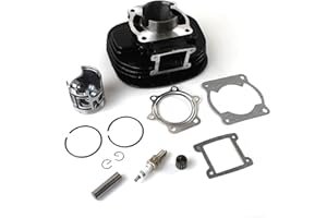 FIWARY Cylinder Wiseco Piston Gasket Top End Kit fits for Yamaha Blaster 200 YFS200 1988-2006 Replace OE 2XJ-11311-02-00 3JM-11351-02-00 CG-332703-470
