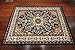 Generations 8023black Oriental Traditional Isfahan Persian Area Rug, 2 x 3', Black