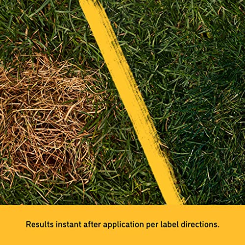 BarkYard UnMark Green Grass Paint and Lawn Spray for Dog Spot Repair