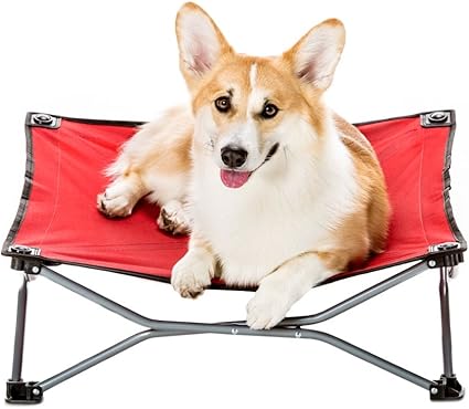 foldable elevated dog bed