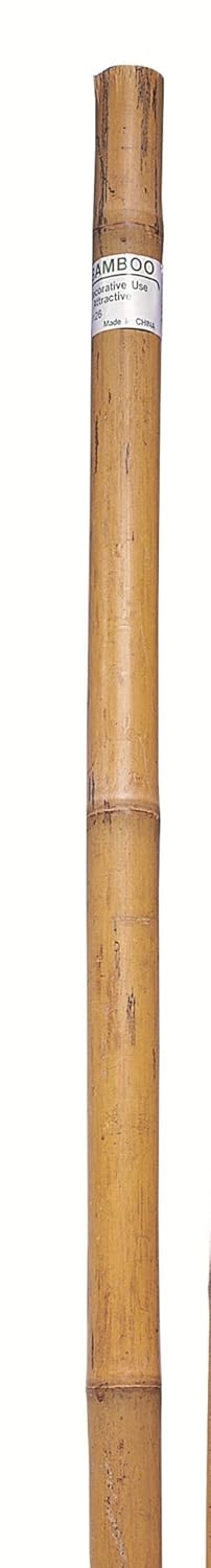 Best 3′ Garden Stakes