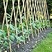 Bond SMG12068 Miracle-Gro Super Pole, 5ft x 1in Bamboo Stakes, 4 Pack, Natural