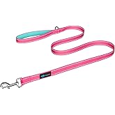 PHOEPET 5 Feet Dog Leash with Comfortable Padded Handle Easy Snap Clasp - Reflective Walking Lead for Large, Medium & Small Breed Dogs (Pink + Mint Green Base)