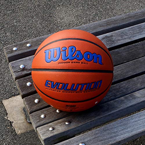 wilson evolution game