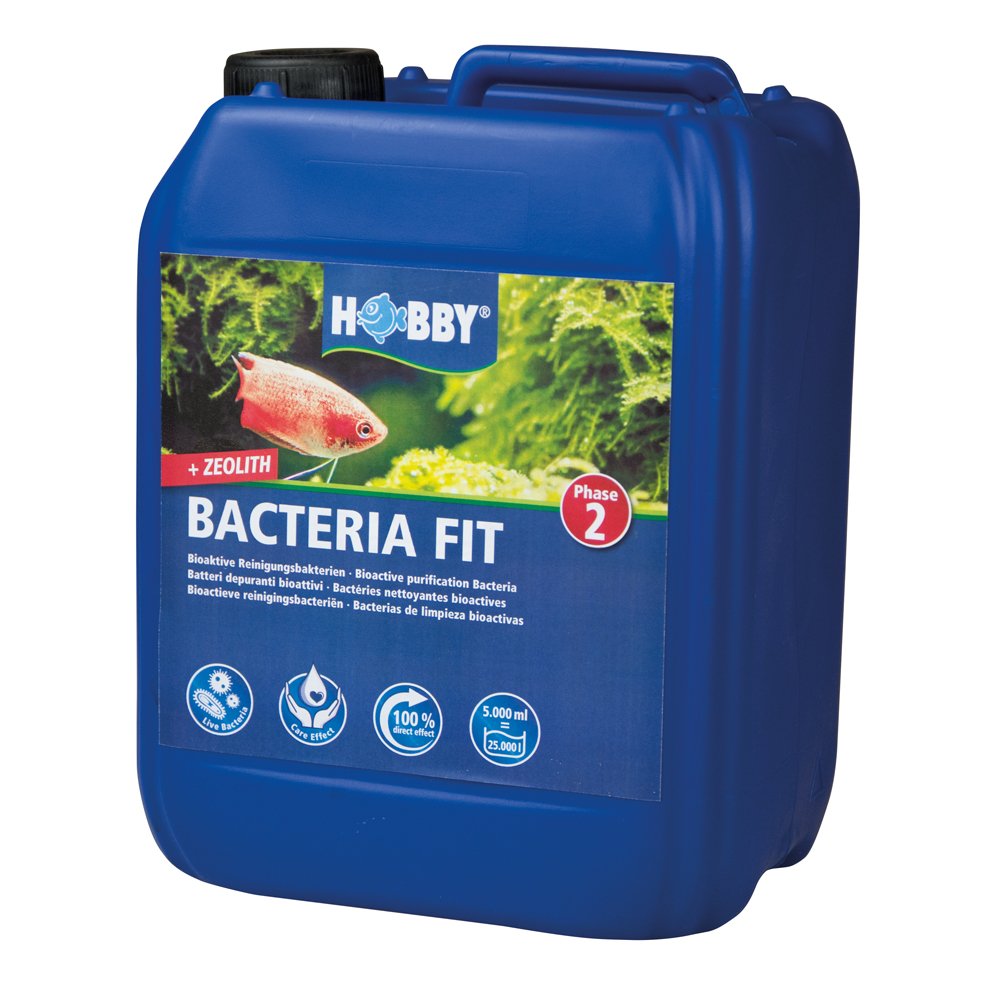 Hobby 51144 Bacteria Fit