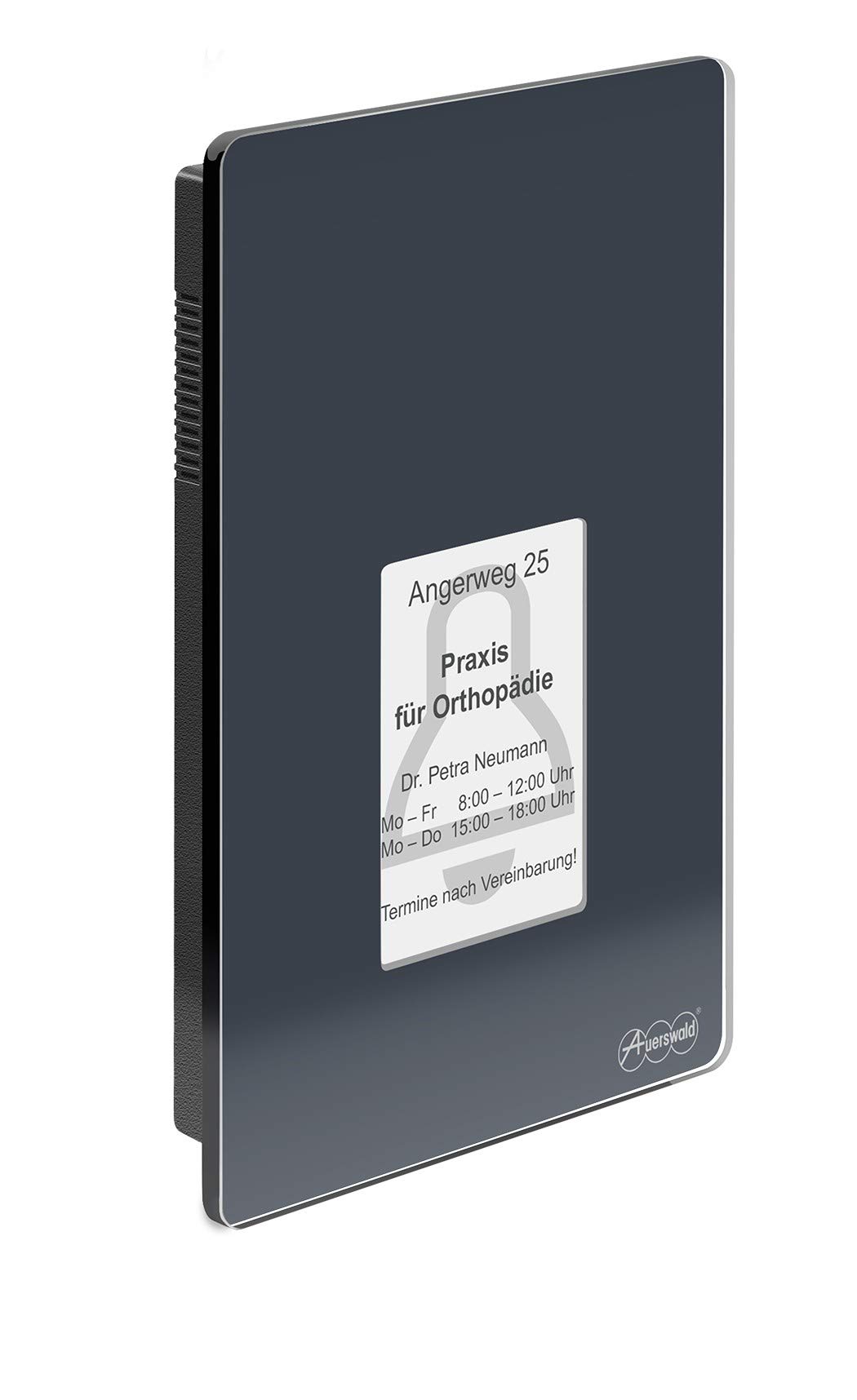 Auerswald 90168 TFS-Dialog 400 Door Intercom System, Blue