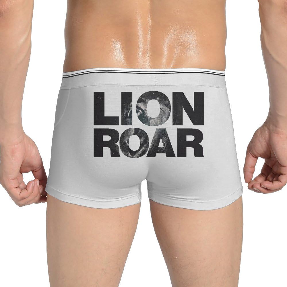 Men Boxer Briefs Lion Roar The King Of Animal Ash
