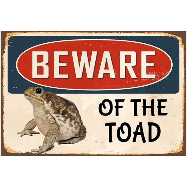 Funny Toad Bag Canvas Tote - 'This Is My Toad Bag' Quote, Reusable Grocery Shopper, 15.8x15 Inches
