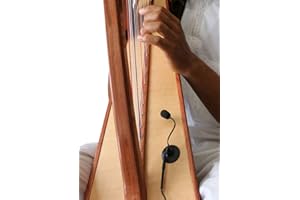 Folk HARP Microphone, The Feather with Flexible Micro-Goose Neck by Myers Pickups ~ See it in Action! Copy and Paste: myerspi