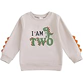 Dcohmch Second/2nd Birthday Outfit Girl Boy Dinosaur I’M Two Print Sweatshirt 2 Year Old Toddler Baby Shirt