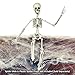 Colonel Pickles Novelties Poseable Skeleton Figure 19 Inch for Model Or Halloween Decoration - Multiple Custom Pose Positions