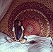 Bohemian Psychedelic Intricate Floral Design Kerala Tapestry Wall hanging Magical Thinking Tapestry Indian Hippie Bedspread Tapestry (Queen (84 X 85 inches approx), Orange-Red Border)