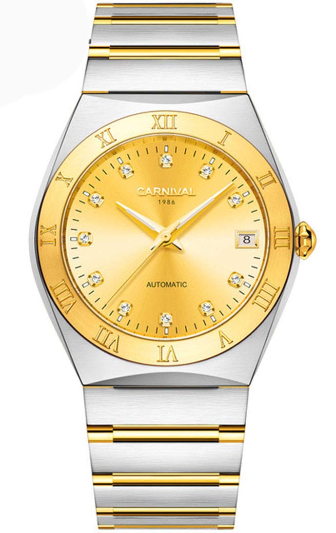 Swiss Brand Luxury Luminous Waterproof Watch Mens Automatic Mechanical Wrist Watch Silver Stainless 