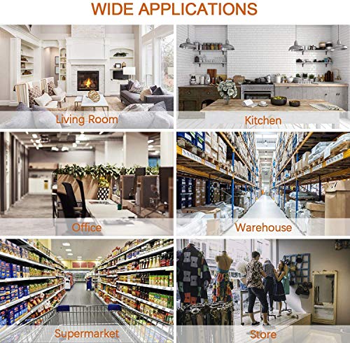 jingtai Humane Mouse Trap, No Kill Small Mice Traps That Work for for Small Rodent/Voles/Hamsters/Moles Catcher, Indoors Outdoors Pack of 4 with Cleaning Brush